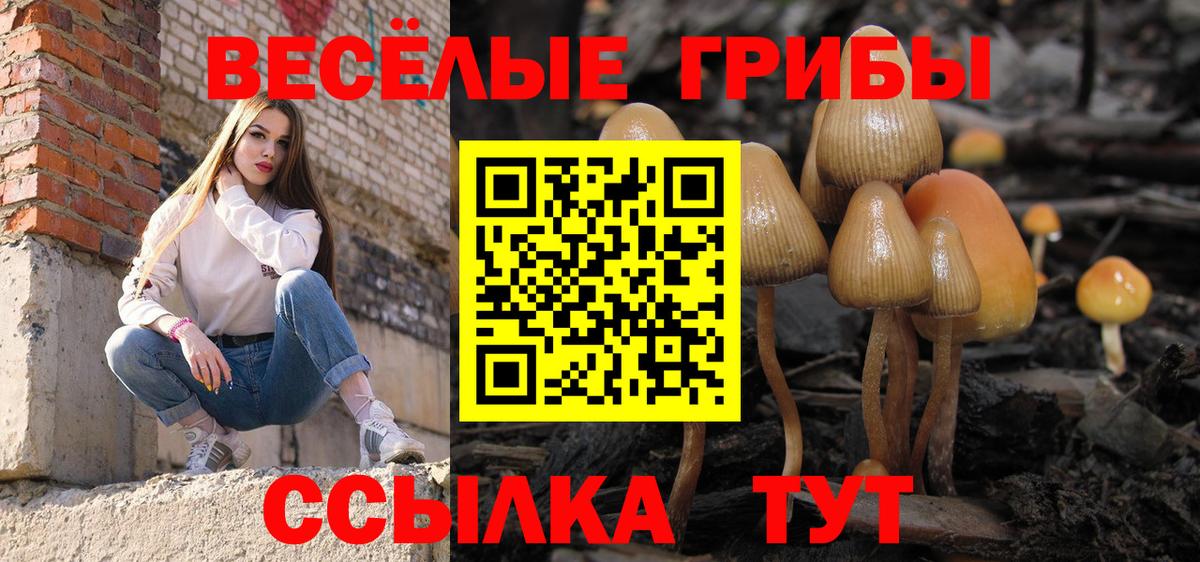 Псилоцибиновые грибы мицелий  Вход с VPN  Псилоцибиновые грибы Magic Shrooms  Новотроицк 